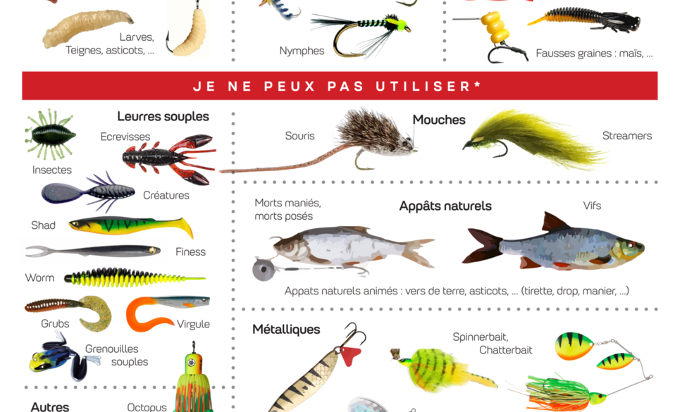 Appâts autorisés en seconde catégorie pendant la fermeture des carnassiers
