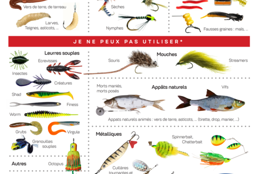 Appâts autorisés en seconde catégorie pendant la fermeture des carnassiers