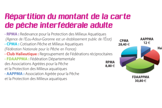 Hausse du tarif des cartes de pêche, on vous explique tout.