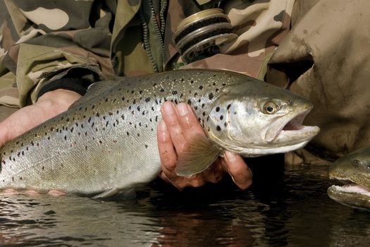 Fermeture exceptionnelle de la pêche 