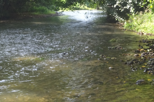 L'ouverture c'est dans 5 jours !